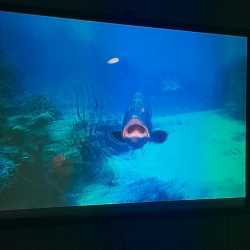 IMG-20231218-WA0009