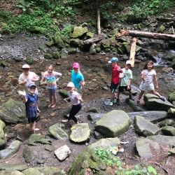 IMG-20240618-WA0008
