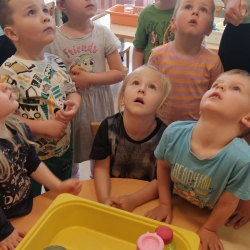 DEN ZEMĚ