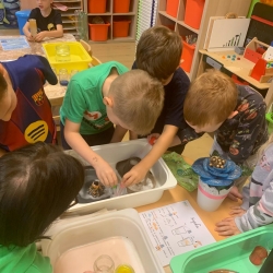 b5a03395-e871-4bd3-8b97-8e95fdccbc80