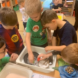 b9cc70a7-6f4a-495f-8209-694e39e105f9