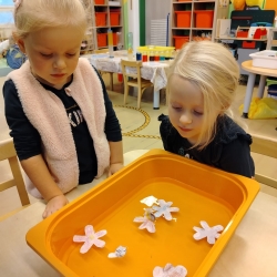 29c99496-6bd6-4cbd-9d51-e7db572561b1