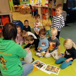 141ba1d3-c9ff-4468-9bc8-b0da3a95e824