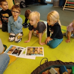 a4c6ea5d-9e57-4ca4-8764-75d363362879