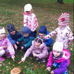 5ca66db5-bb15-48ec-8cfe-77259d902792