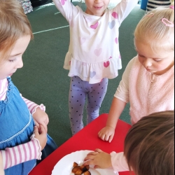 c5f27733-f3ba-46b0-a639-5973a5e8c4e3