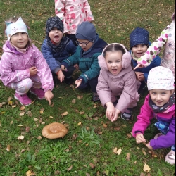 db59d4c4-5d22-4333-b705-1345cf3f7a46