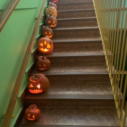 0ea8de71-9270-4e22-9126-42fb91904de4