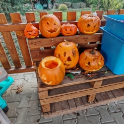 1de8ee3a-05b9-404e-9f28-43e1ebb5d759