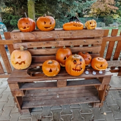 2d0a0d64-054a-4867-9126-d0be88884910