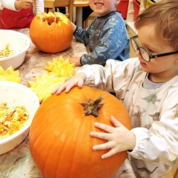 5c0a00d1-f945-48b8-9d3b-92aca1707d6c