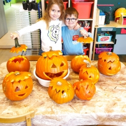 8acfa8ff-1f5e-4dc2-b6e0-227948928230