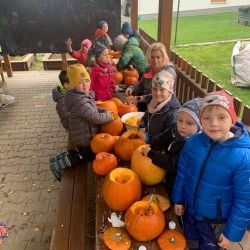 266cdc76-5b0e-4ff1-858f-c6d3d95f5c35