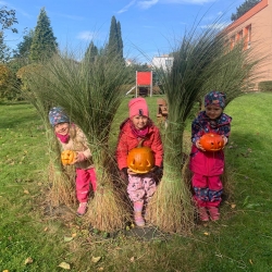 702db7a5-6e2b-4b3c-af16-525fe9c44624