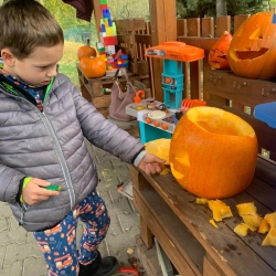 2424419a-71bc-4d18-a48d-029751957218