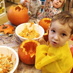 a2d033e9-3d1d-4f8f-afb8-a4a39bb6f833