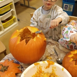 b736dba7-aa72-4e03-a2ca-fad77bcce654