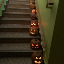 e3b68b0e-b523-4af7-bade-977378991cf0