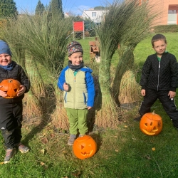 e531b92e-ed84-4c43-9d51-09d39fdd413a