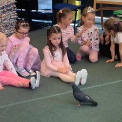 63aaafa1-3cbf-4c70-b5c3-337691387985