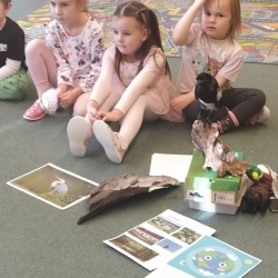 67df93e1-f687-4b78-b5f9-5c4e89e9347d