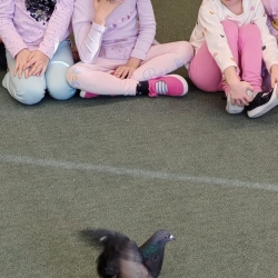 631ffaeb-5abe-4eb1-bb0a-94e2672f8c76