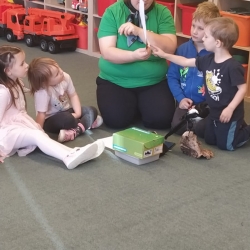 4745e342-84a6-4efa-99a0-d2d006b4d888