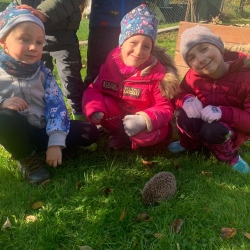 aed32975-0bde-4959-9dbc-16899ae10486