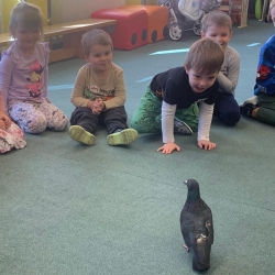 c122679e-a6d2-46b6-9519-ae91f0fde5cd