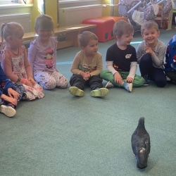 fa5acae9-c0d6-469f-8c7d-3e2e25b5d055