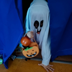 15e0b1aa-3193-4943-b736-02fffd0db719