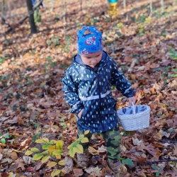 5eb91dbd-9560-4a5e-a306-0eb4fe2fff80