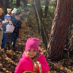 8e6b045b-d76b-4d1e-a7ee-e082222a1dd6