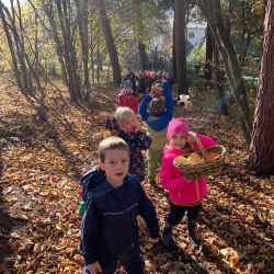 31f172ef-dd33-42b8-90f4-b7ad753874b7