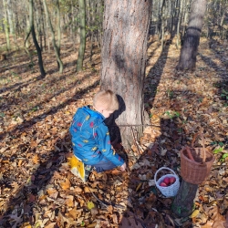 054de843-722d-4843-b3cd-e5e8efa18aeb