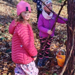 75be413c-fea5-4716-8a9f-e98d864b8053