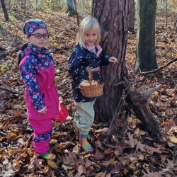 232ecd9a-01ba-4f33-9ce0-8fbec27f0845