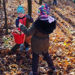 920cf2ef-103e-49a6-956a-662cf898c82d