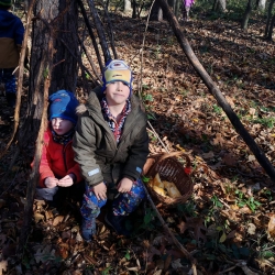 953d068f-27f6-4a62-8b0d-ff48cc2e4e3a