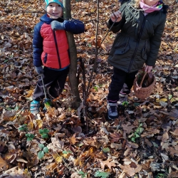 3555bc3c-e748-4d31-9c5b-926b0485f1f5