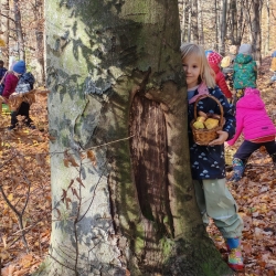 626960b5-0537-4816-8fe9-0a78bca19370