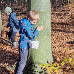 aedd5108-2c31-4d14-8d5e-15ca22e57cb5