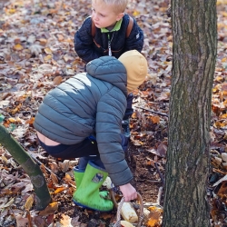 af0426d9-dff6-48c9-a504-a062192ea70d