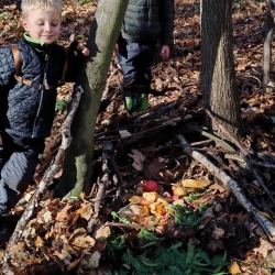 c6290f7a-e1a8-4745-a5da-5960e72d5522