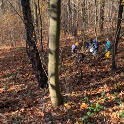 d71bfa3c-0a6c-469b-a4a1-5bd636a28586