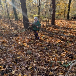 d8571592-4b9b-4949-b64e-60541b00fe67