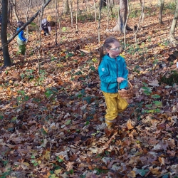 edbb7809-c350-46c7-8bdc-b107358987d2