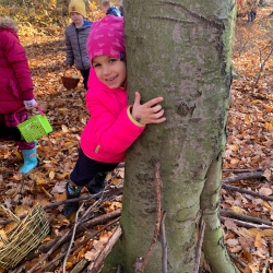 fe2097d5-54af-4fd0-bea6-903b3ae20e13