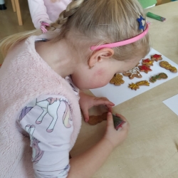 3bbc7de4-631b-42de-96f6-50efa34d0011