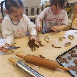 49cc2e41-9d66-4d20-b04e-8abe78ebf347